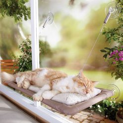 Window Mounted Cat Bed