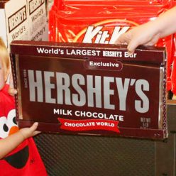 World’s Largest Hershey’s Bar
