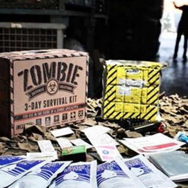 Zombie Apocalypse Survival Kit