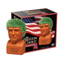 Donald Trump Chia Pet