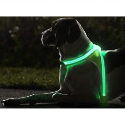 Illuminated and Reflective Dog Vest