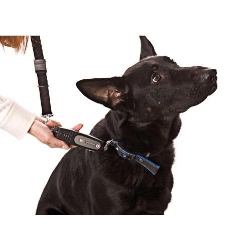 Dog Trainer Tool