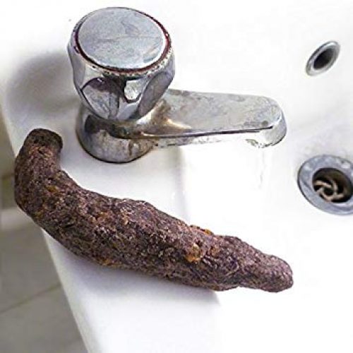 Poop Soap