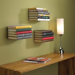 Invisible Wall Book Shelf