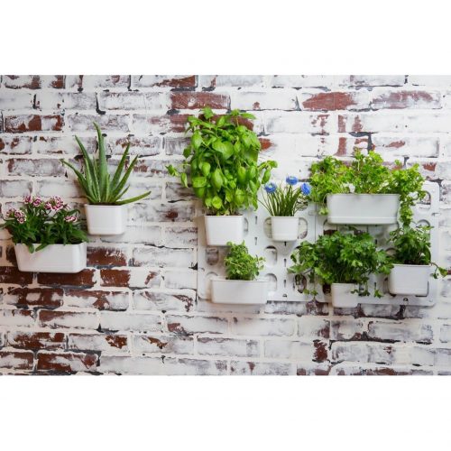 Living Wall Garden Starter Kit