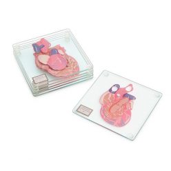 Heart Anatomy Coasters