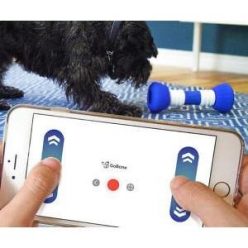 App Controlled Smart Dog Bone Toy