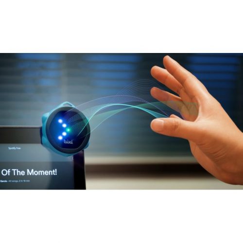 Home Gesture Control System