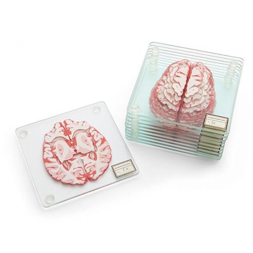 Brain Specimen Coasters