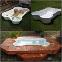 Doggie Bone Pool