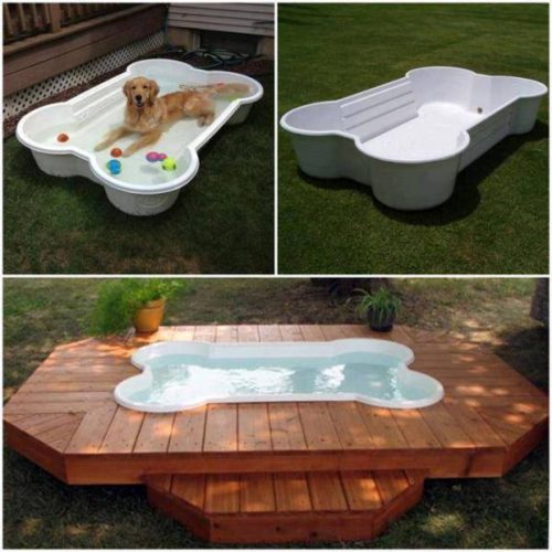 Doggie Bone Pool