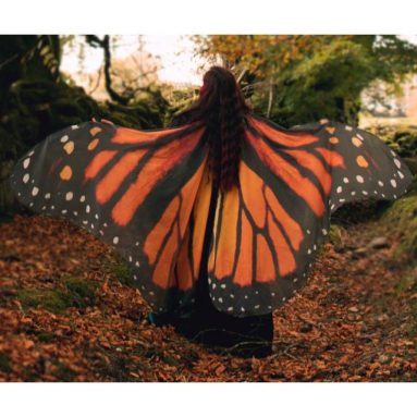 Butterfly Cloak