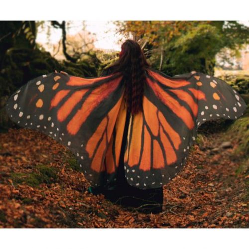 Butterfly Cloak