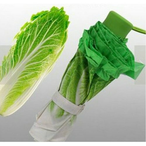 Cabbage Umbrella