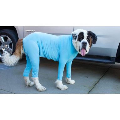 Dog Leotards