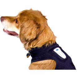 Canine Anxiety Relief System