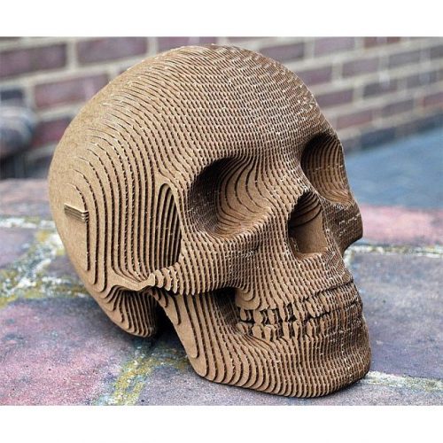 Cardboard Paper Skull