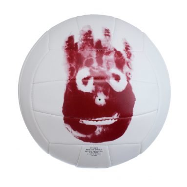 Wilson Castaway Volleyball