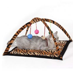 Cat Activity Play Mat