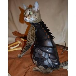 Cat Battle Armor