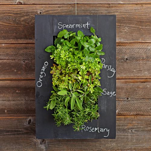 Chalkboard Wall Planter