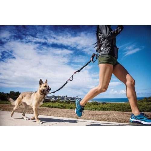 Hands-Free Dog Leash