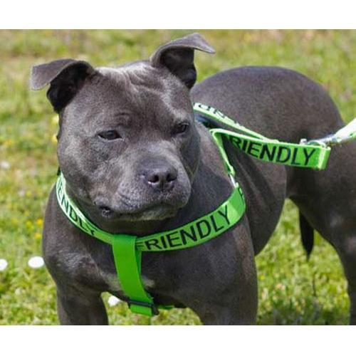 Color Coded Dog Leashes