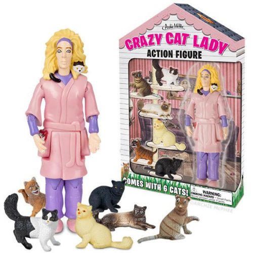 Crazy Cat Lady Action Figure Set