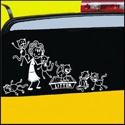 Crazy Cat Lady Family Car Sticker