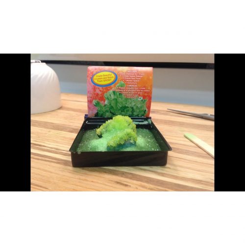 Crystal Growing Kit