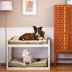 Dog Bunk Bed Furniture