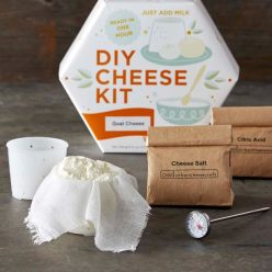 DIY Goat Cheese Kit