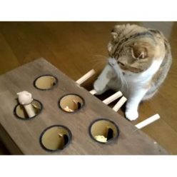 Whack-A-Mole Cat Toy