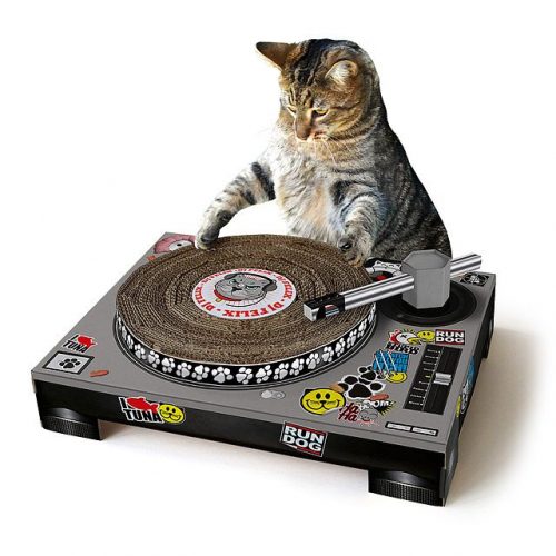 Cat Dj Scratch Pad
