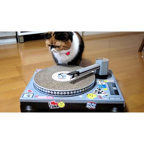 Cat Dj Turntable