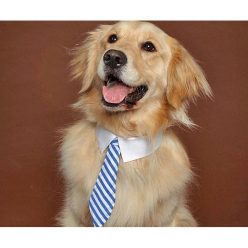 Dog Business Ties