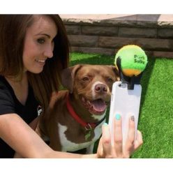 Dog Selfie Smartphone Attachment