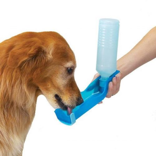 Water Bottle Dog