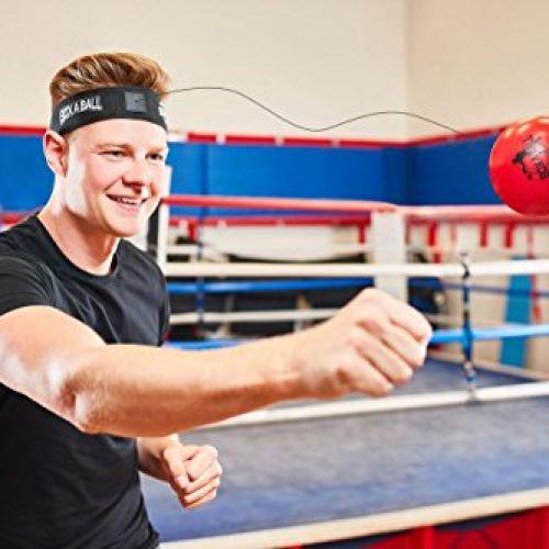 FightMaster Boxing Trainer