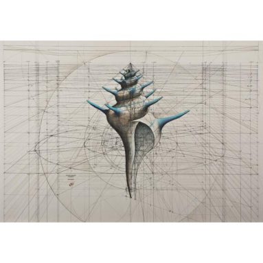 Golden Ratio Coloring Book