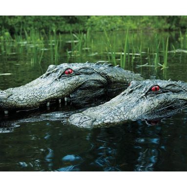 Decoy Alligator Head