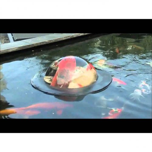 Floating Fish Dome
