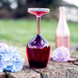 Upside Down Wine Glass