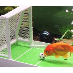 Goldfish Soccer Game