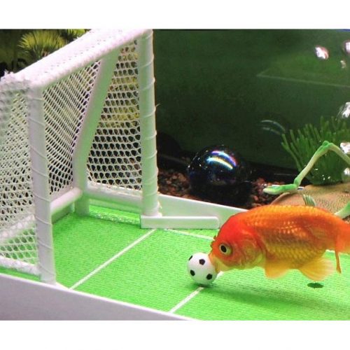 Goldfish Soccer Game