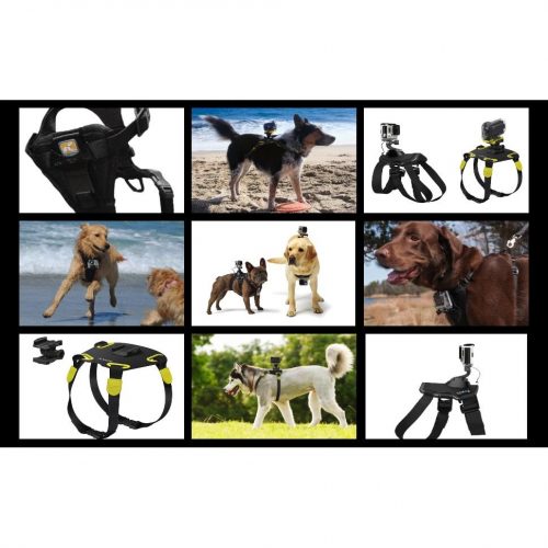 Action Camera Dog Harness
