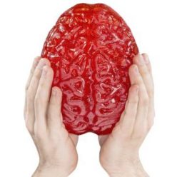 Giant Gummy Brain