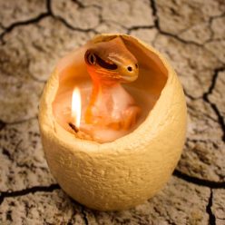 Hatching Dinosaur Egg Candle