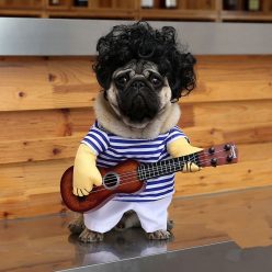 Guitar Player Pet Costume