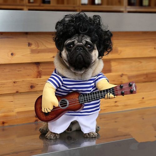 Guitar Player Pet Costume